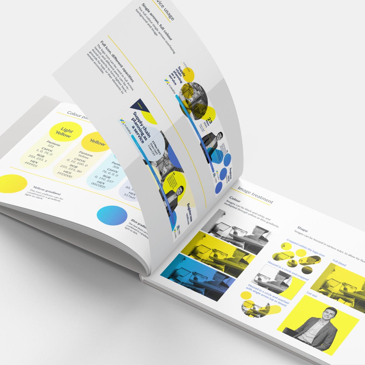 WAV_Portfolio_BrandGuide_Vuealta Vuealta Brand Guide